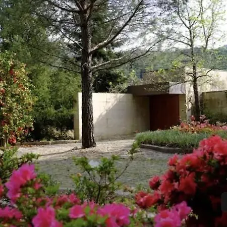 Farm stay Quinta Das Fragas Casa Mae *