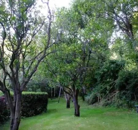 Farm stay Quinta Das Fragas Casa Mae *